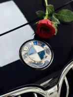 🌊 [Ready to Ship]BMW Kanagawa Wave Car Logo- Ukiyo-e Kanagawa Series - Premium Car Art Badge - Image 5