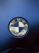 🌊 [Ready to Ship]BMW Kanagawa Wave Car Logo- Ukiyo-e Kanagawa Series - Premium Car Art Badge