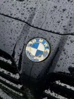 🌊 [Ready to Ship]BMW Kanagawa Wave Car Logo- Ukiyo-e Kanagawa Series - Premium Car Art Badge - Image 2