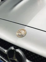 🍂 [Ready to Ship] Mercedes-Benz Gold Leaf & Blue Cloud Emblem - Artistic Trident Series - Premium Badge - Image 6