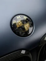 🏎️ [Ready to Ship] BMW Forged Carbon Fiber & Gold Leaf Emblem - Racing Art Series - Premium Badge - Image 2