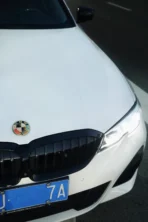 🌸 [Ready to Ship] BMW Peony Golden Leaf Art Emblem - Zinc Alloy Shield Series - Luxury Tuning Badge - Image 8