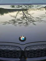 🌿 [Ready to Ship] BMW Deep Green Leaf Emblem - Nature Art Series - Premium Handcrafted Style Badge - Image 3