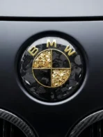 🏎️ [Ready to Ship] BMW Forged Carbon Fiber & Gold Leaf Emblem - Racing Art Series - Premium Badge