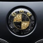 🏎️ [Ready to Ship] BMW Forged Carbon Fiber & Gold Leaf Emblem - Racing Art Series - Premium Badge
