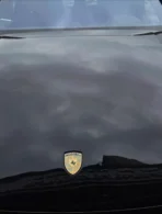 🐎 [Ready to Ship] Premium Porsche Zinc Alloy Emblem - Artistic Shield Series - Luxury Badge - Image 10