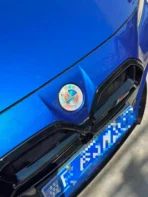 🌺 [Ready to Ship] BMW Red Peony & Colorful Marble Texture Art Emblem - Zinc Alloy Series - Premium Badge - Image 5