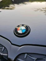 🌿 [Ready to Ship] BMW Deep Green Leaf Emblem - Nature Art Series - Premium Handcrafted Style Badge - Image 4