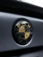🏎️ [Ready to Ship] BMW Forged Carbon Fiber & Gold Leaf Emblem - Racing Art Series - Premium Badge - Image 3