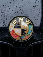 🌸 [Ready to Ship] BMW Peony Golden Leaf Art Emblem - Zinc Alloy Shield Series - Luxury Tuning Badge - Image 3